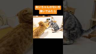 Thumbnail of post image 006