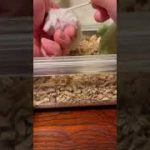 Thumbnail of related posts 003