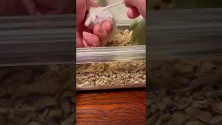 Thumbnail of post image 006