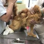 Thumbnail of related posts 018