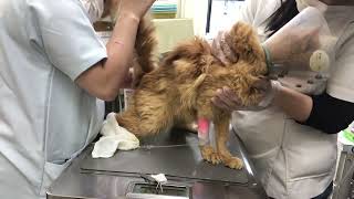 Thumbnail of post image 134