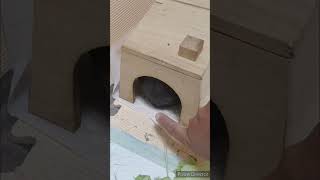 Thumbnail of post image 009