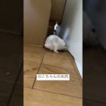 Thumbnail of related posts 094