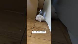 Thumbnail of post image 092