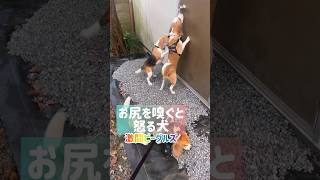 Thumbnail of post image 175