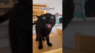 Thumbnail of post image 111