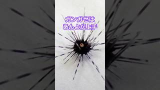 Thumbnail of post image 139