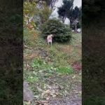 Thumbnail of related posts 162