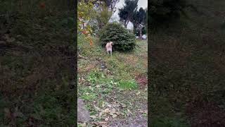 Thumbnail of post image 020