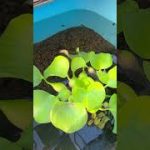 Thumbnail of related posts 015