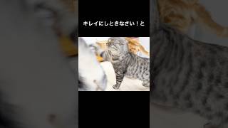 Thumbnail of post image 063