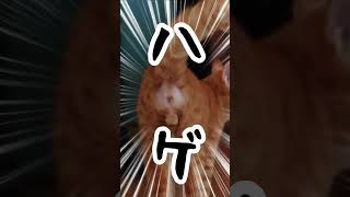 Thumbnail of post image 001