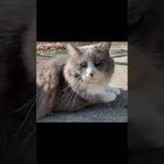 Thumbnail of related posts 120