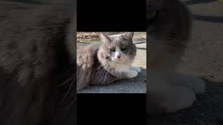 Thumbnail of post image 052