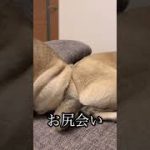 Thumbnail of related posts 021