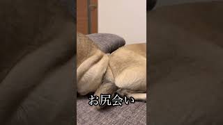 Thumbnail of post image 089