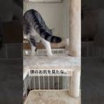 Thumbnail of related posts 111