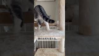 Thumbnail of post image 140