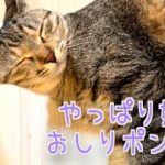 Thumbnail of related posts 007