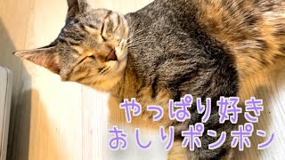 Thumbnail of post image 187