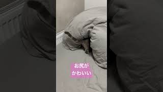 Thumbnail of post image 034