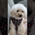 Thumbnail of related posts 083