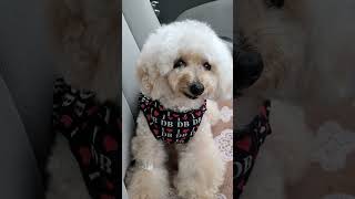 Thumbnail of post image 100