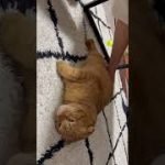 Thumbnail of related posts 010