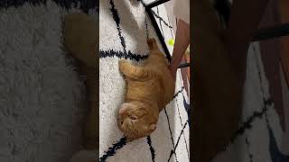 Thumbnail of post image 037