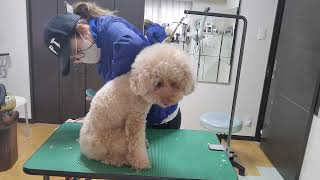 Thumbnail of post image 042