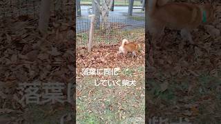 Thumbnail of post image 047