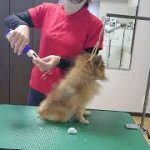 Thumbnail of related posts 186