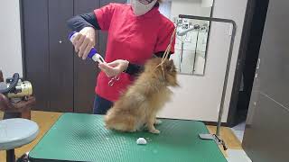 Thumbnail of post image 120