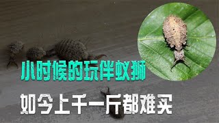 Thumbnail of post image 140