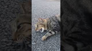 Thumbnail of post image 065