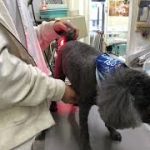 Thumbnail of related posts 039