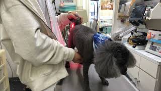 Thumbnail of post image 176