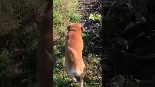 Thumbnail of post image 000