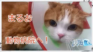 Thumbnail of post image 193