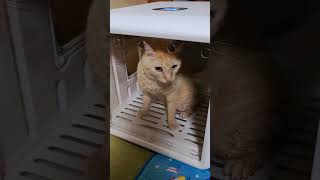 Thumbnail of post image 066