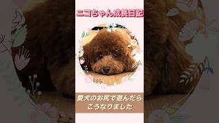 Thumbnail of post image 171