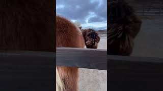 Thumbnail of post image 020