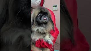 Thumbnail of post image 094