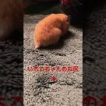 Thumbnail of related posts 138