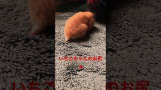 Thumbnail of post image 033