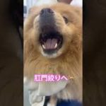 Thumbnail of related posts 018