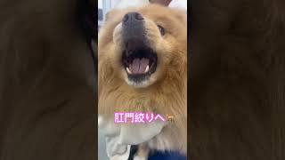 Thumbnail of post image 014