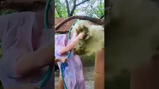 Thumbnail of post image 149