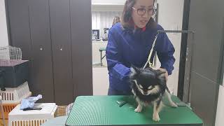 Thumbnail of post image 131