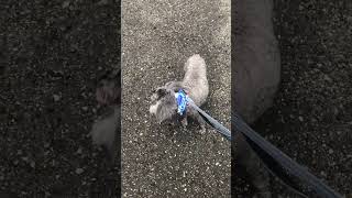 Thumbnail of post image 192